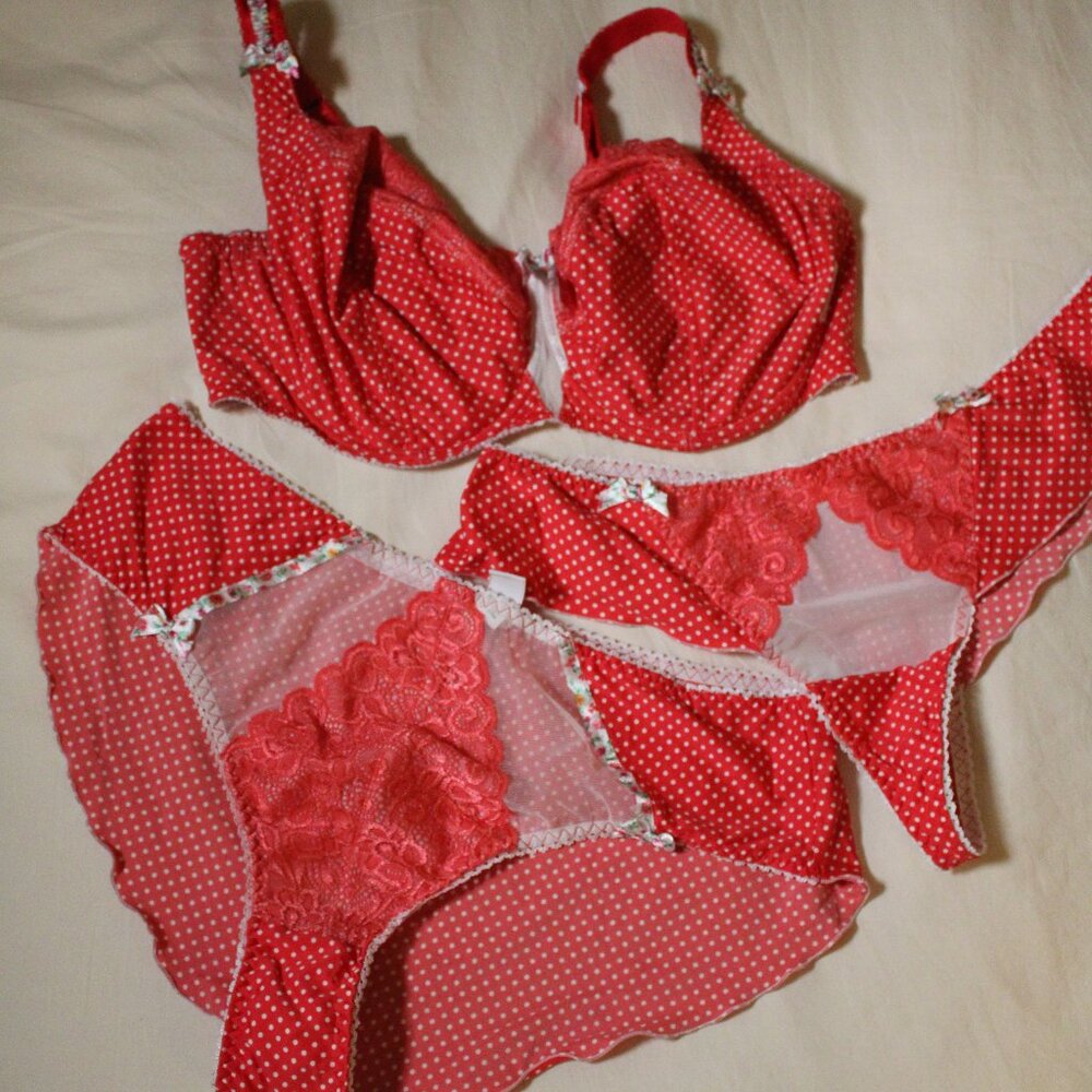 Ewa Michalak BM Pin Up Doll Bra and panties 95G 48